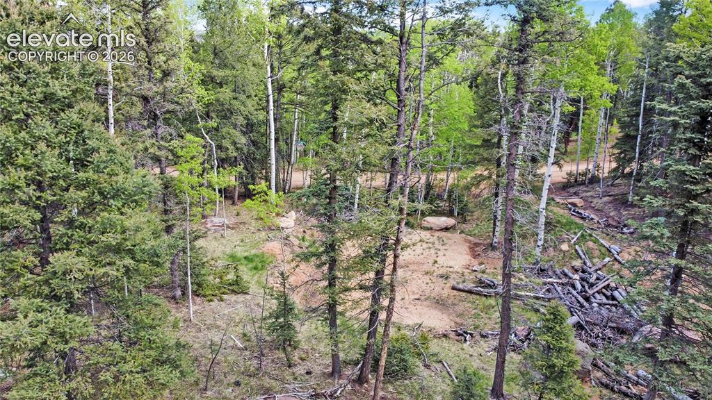 714 Will Stutley Drive Divide CO 80814