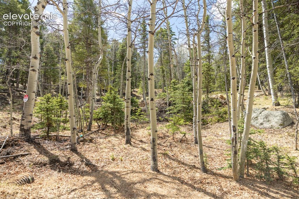 714 Will Stutley Drive Divide CO 80814