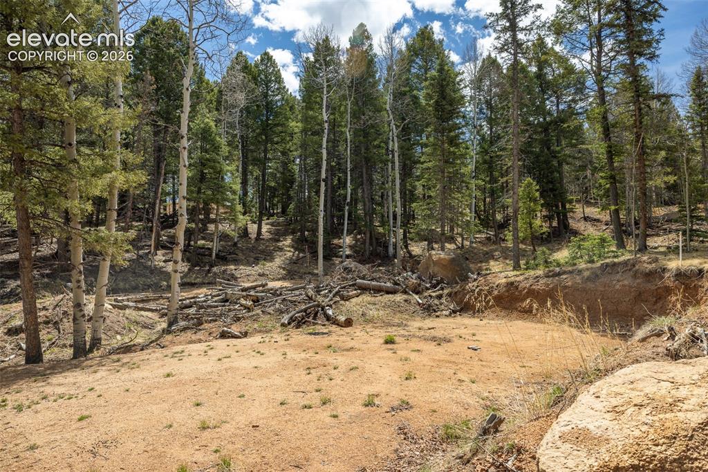 714 Will Stutley Drive Divide CO 80814