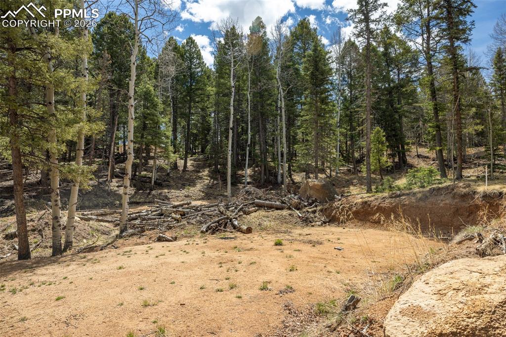 714 Will Stutley Drive Divide CO 80814