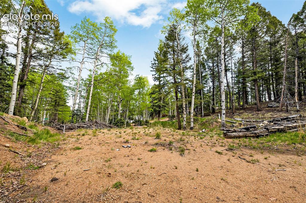 714 Will Stutley Drive Divide CO 80814