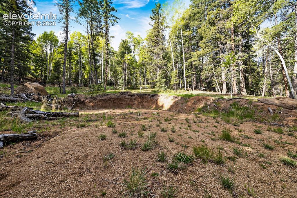 714 Will Stutley Drive Divide CO 80814