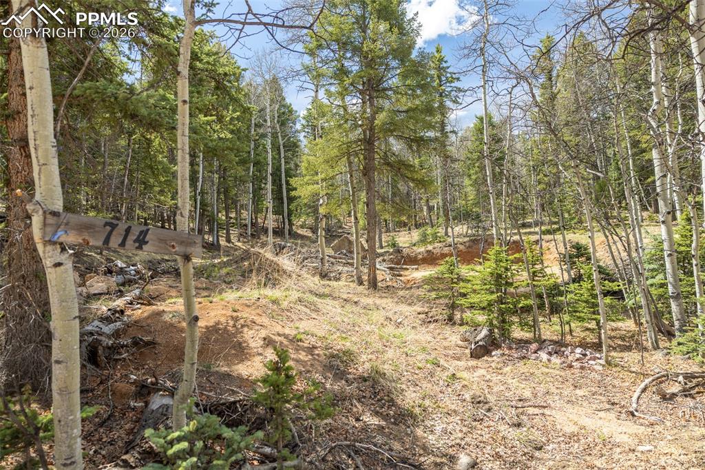 714 Will Stutley Drive Divide CO 80814