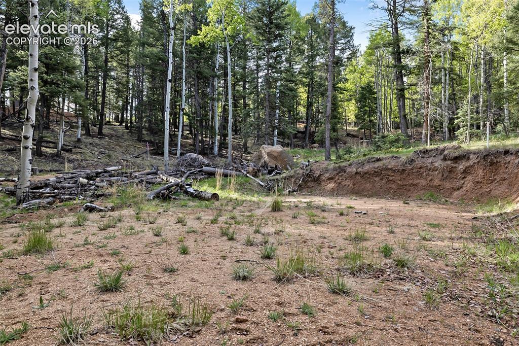714 Will Stutley Drive Divide CO 80814