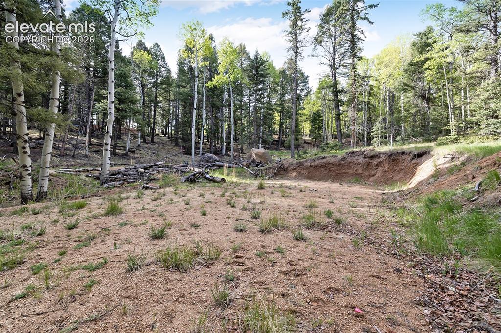 714 Will Stutley Drive Divide CO 80814