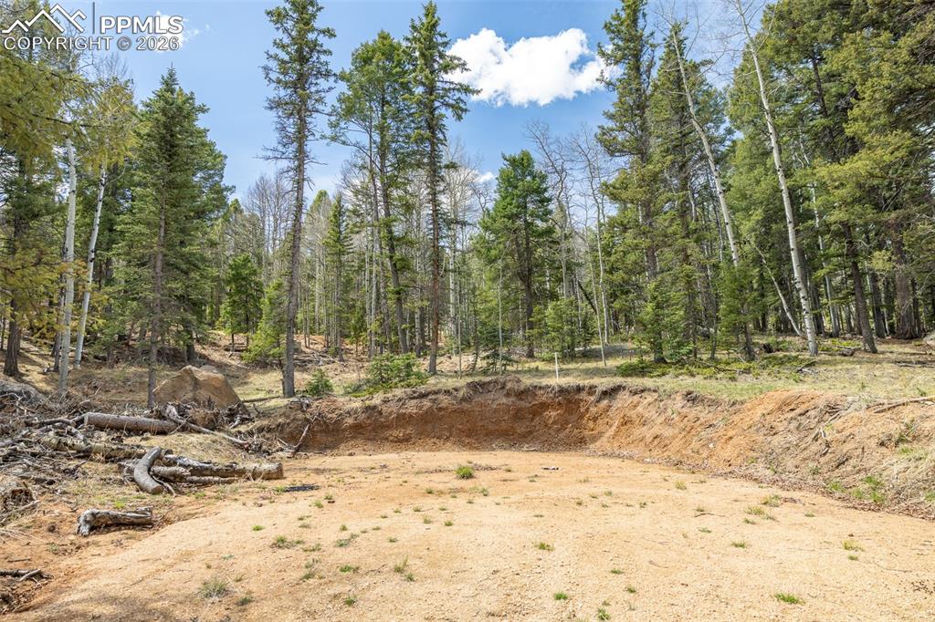 714 Will Stutley Drive Divide CO 80814