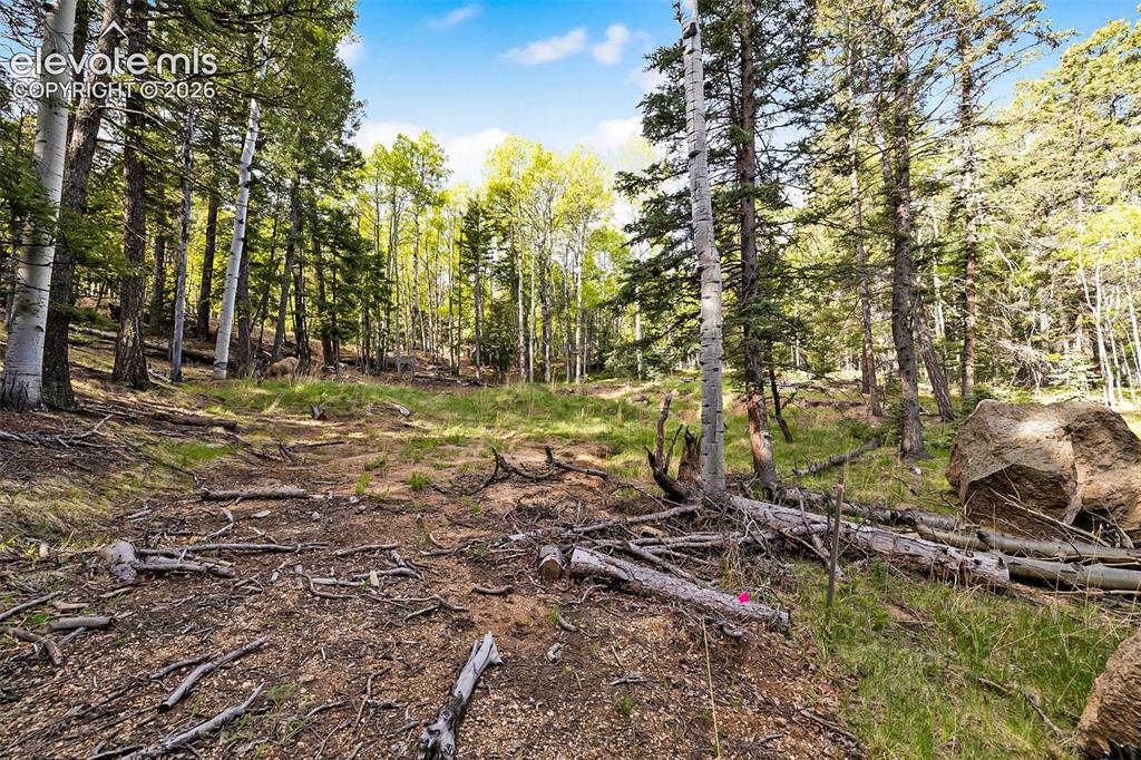 714 Will Stutley Drive Divide CO 80814