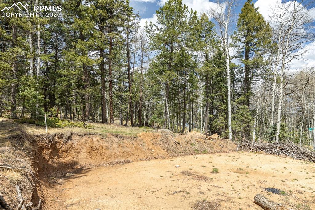 714 Will Stutley Drive Divide CO 80814