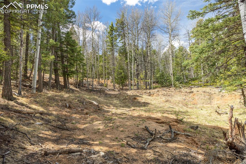 714 Will Stutley Drive Divide CO 80814