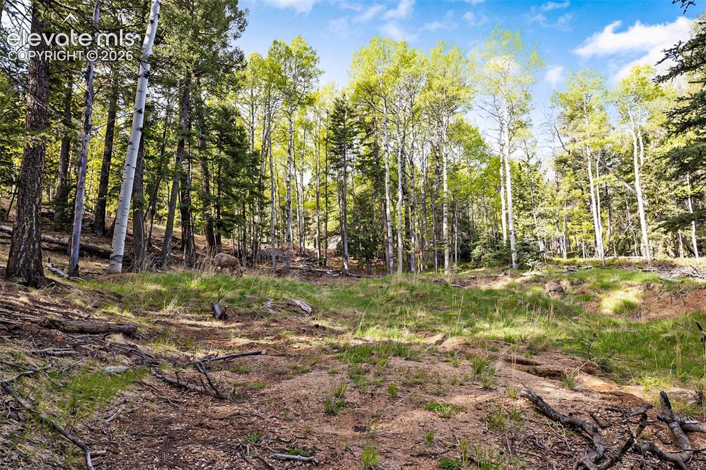 714 Will Stutley Drive Divide CO 80814