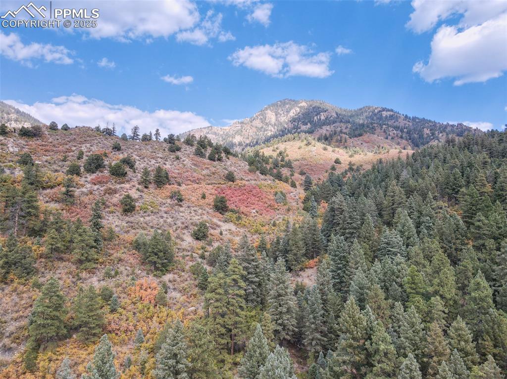 4950 Little Turkey Creek Road Colorado Springs CO 80926
