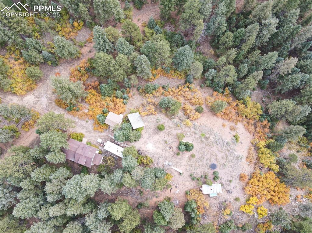 4950 Little Turkey Creek Road Colorado Springs CO 80926
