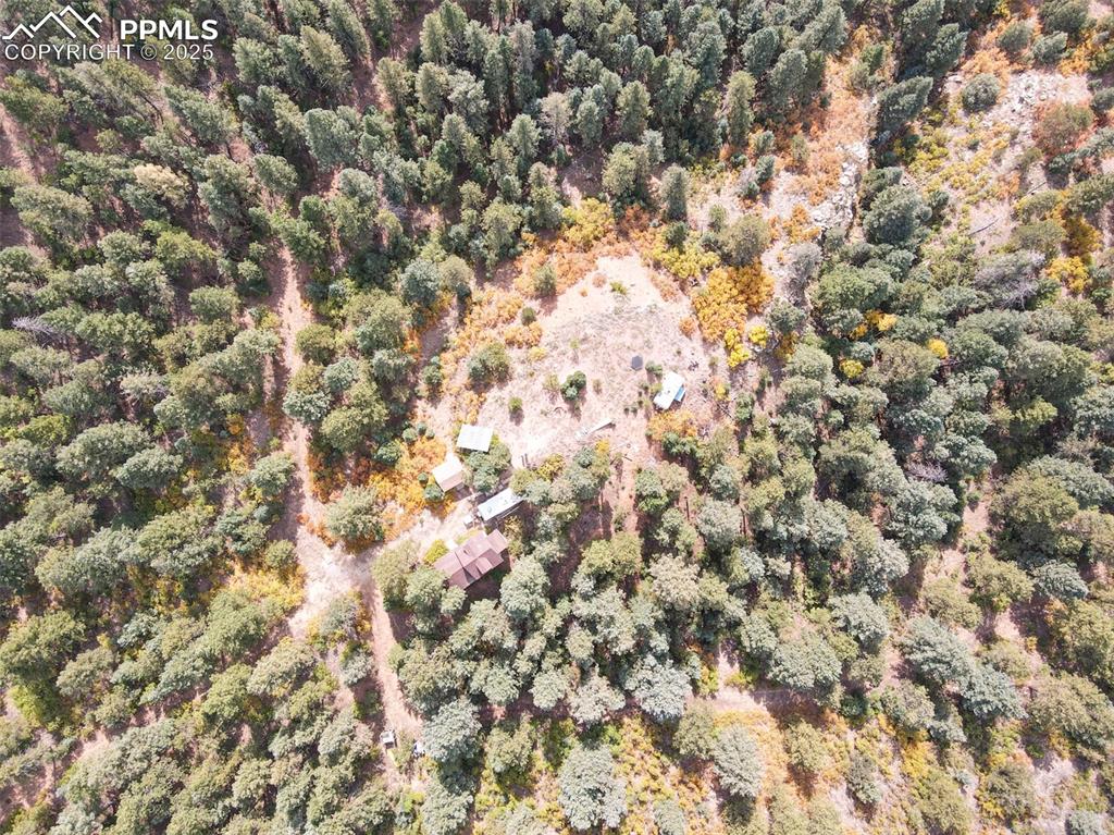 4950 Little Turkey Creek Road Colorado Springs CO 80926