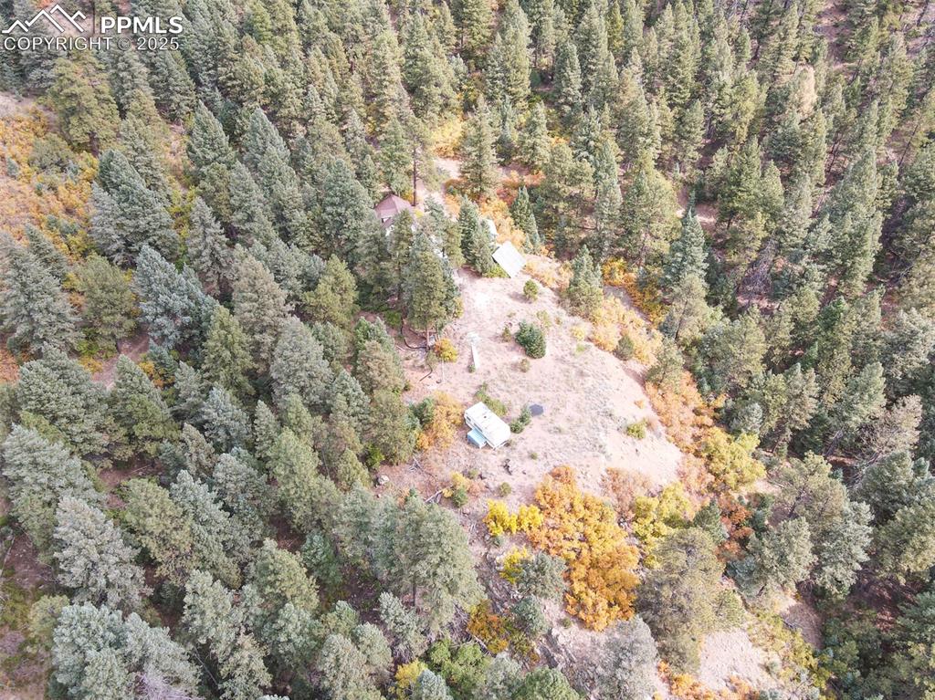 4950 Little Turkey Creek Road Colorado Springs CO 80926