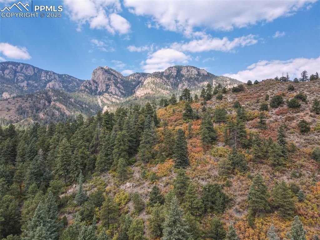 4950 Little Turkey Creek Road Colorado Springs CO 80926