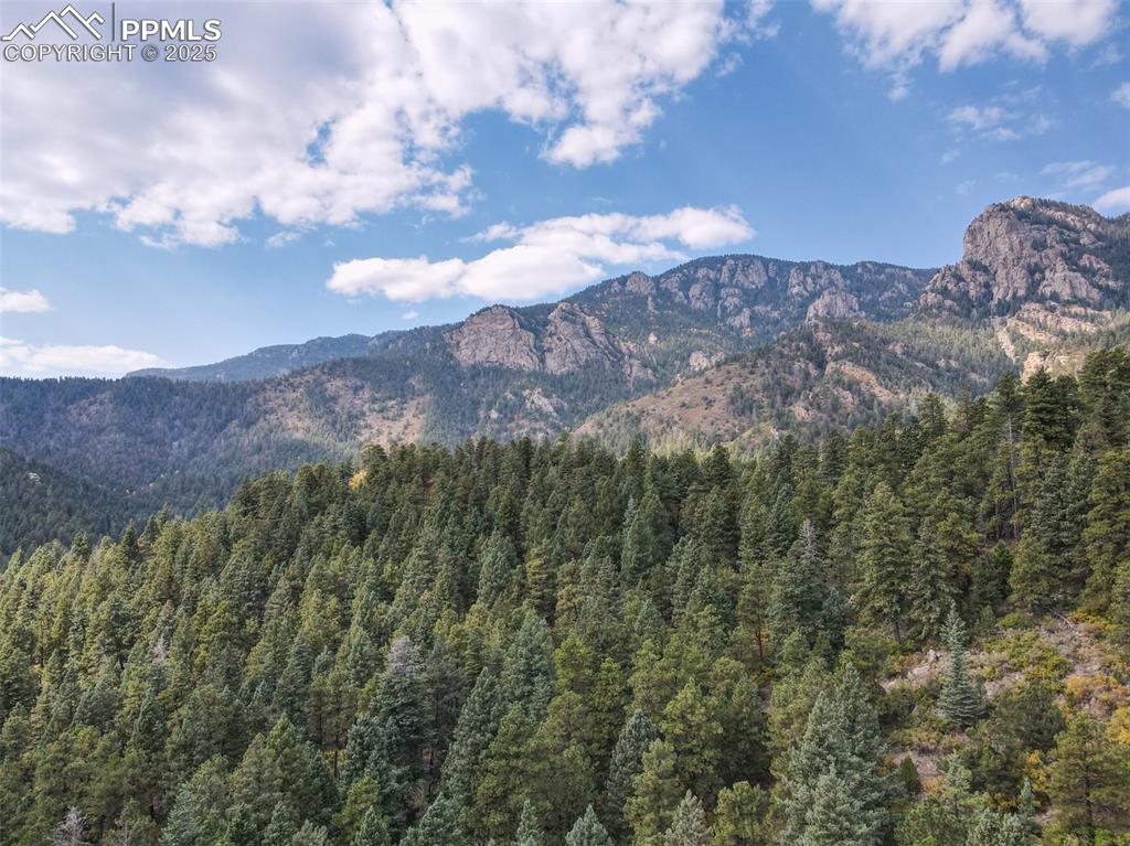 4950 Little Turkey Creek Road Colorado Springs CO 80926