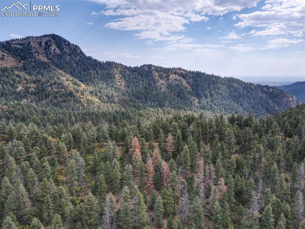 4950 Little Turkey Creek Road Colorado Springs CO 80926