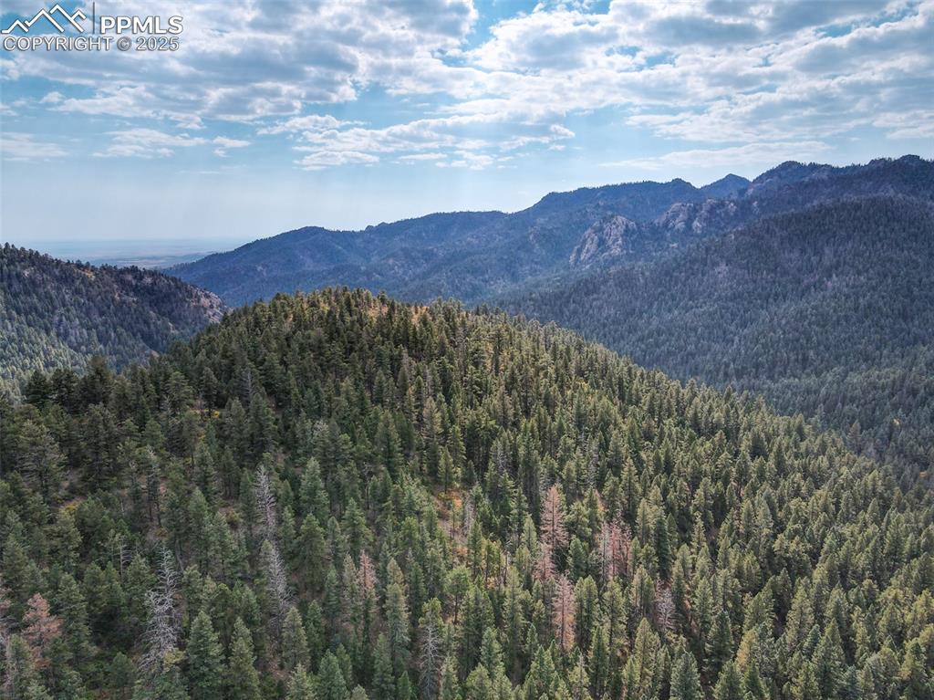 4950 Little Turkey Creek Road Colorado Springs CO 80926