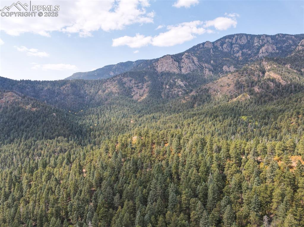 4950 Little Turkey Creek Road Colorado Springs CO 80926