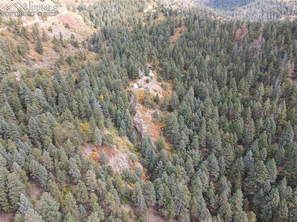 4950 Little Turkey Creek Road Colorado Springs CO 80926