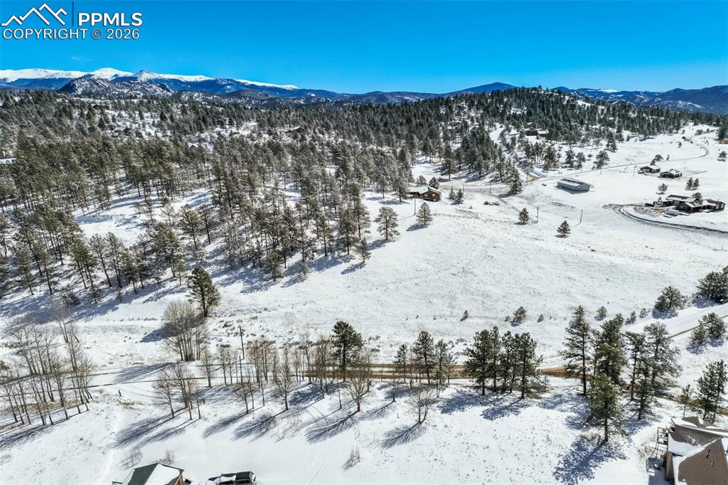 244 High Pasture Road Florissant CO 80816