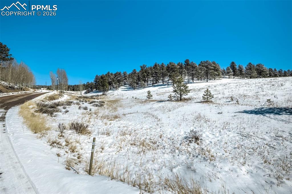 244 High Pasture Road Florissant CO 80816