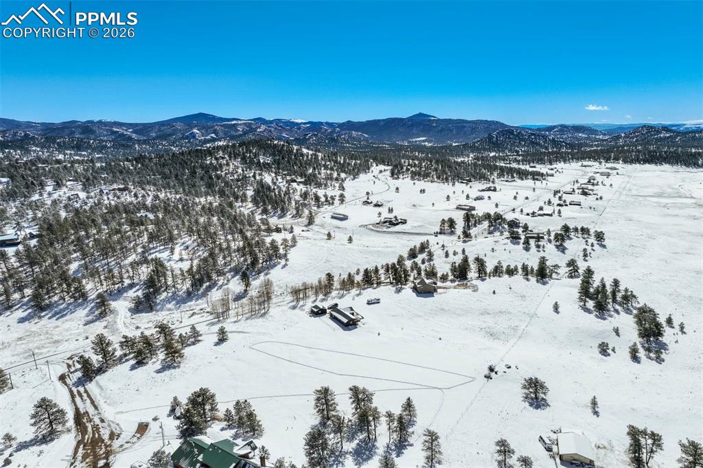 244 High Pasture Road Florissant CO 80816