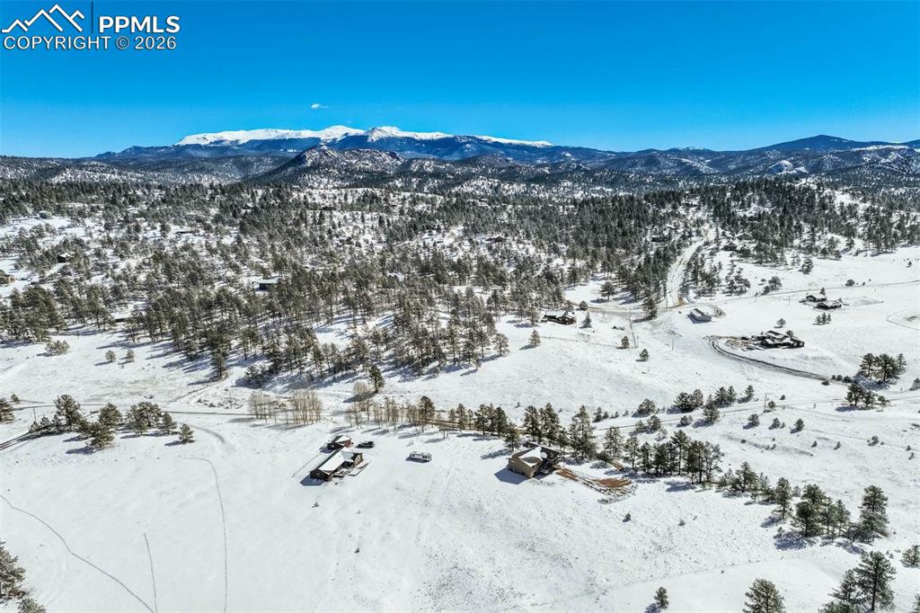 244 High Pasture Road Florissant CO 80816