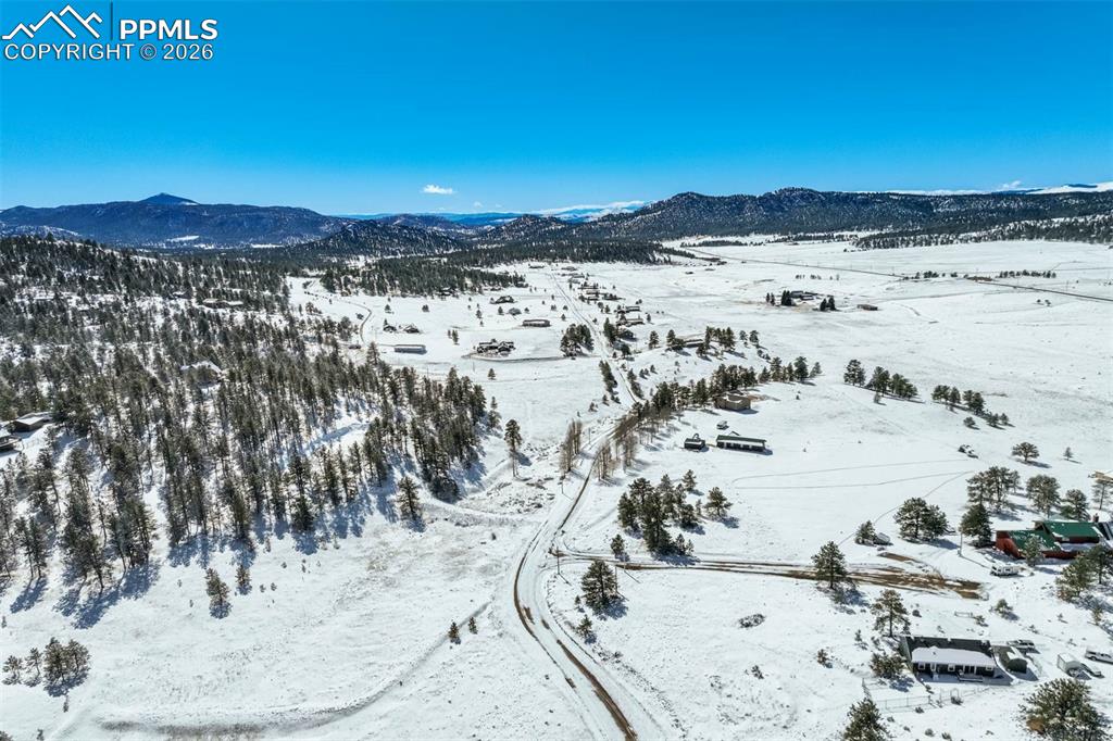 244 High Pasture Road Florissant CO 80816