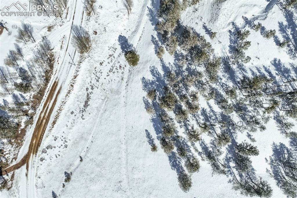 244 High Pasture Road Florissant CO 80816