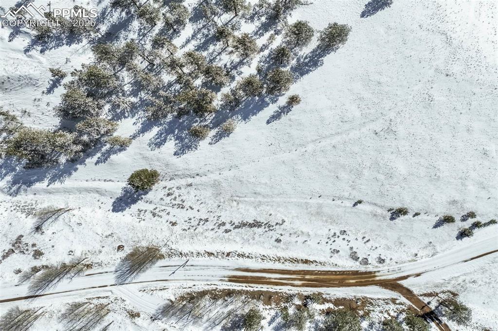 244 High Pasture Road Florissant CO 80816