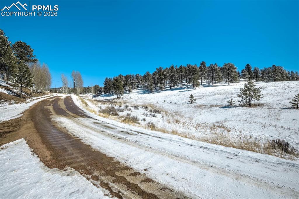244 High Pasture Road Florissant CO 80816