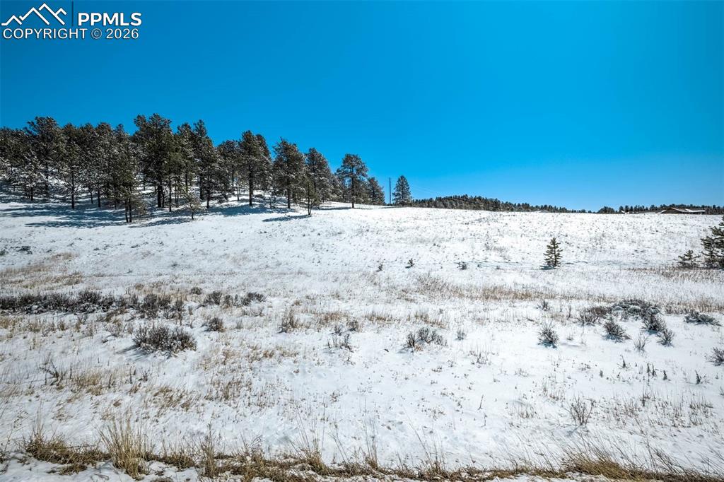 244 High Pasture Road Florissant CO 80816