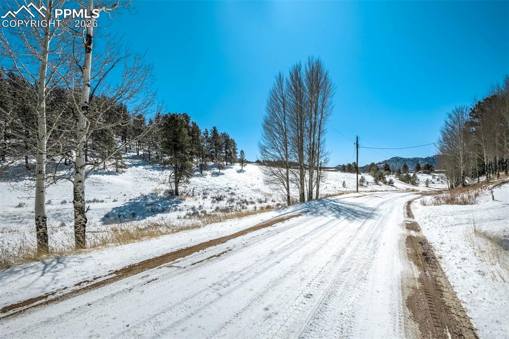 244 High Pasture Road Florissant CO 80816