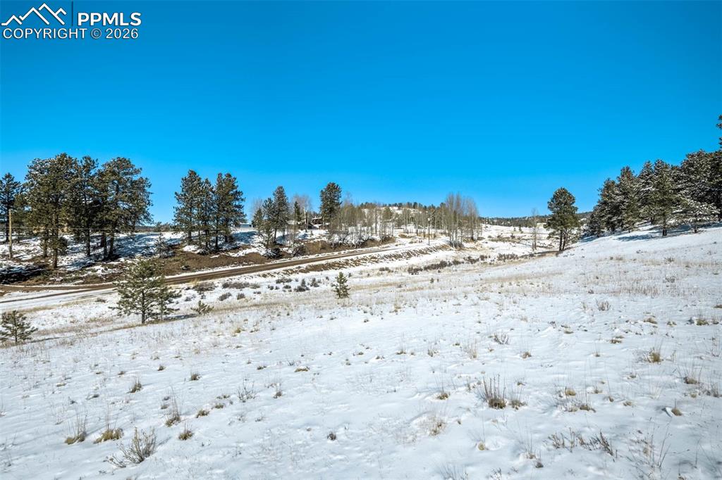 244 High Pasture Road Florissant CO 80816