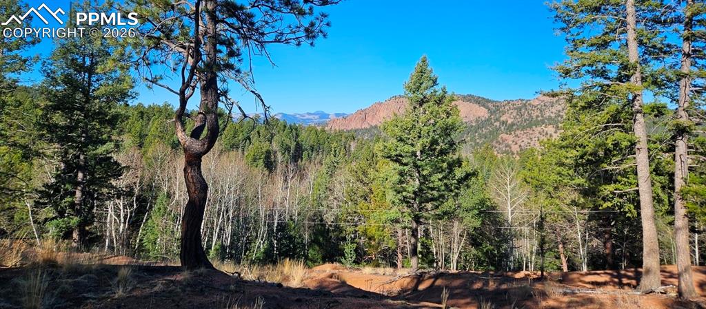652 Derby Drive Cripple Creek CO 80813