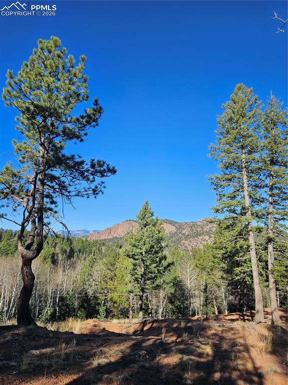 652 Derby Drive Cripple Creek CO 80813