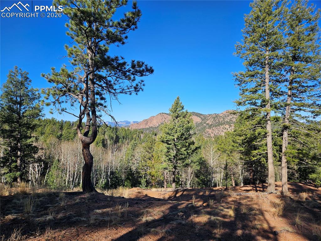 652 Derby Drive Cripple Creek CO 80813