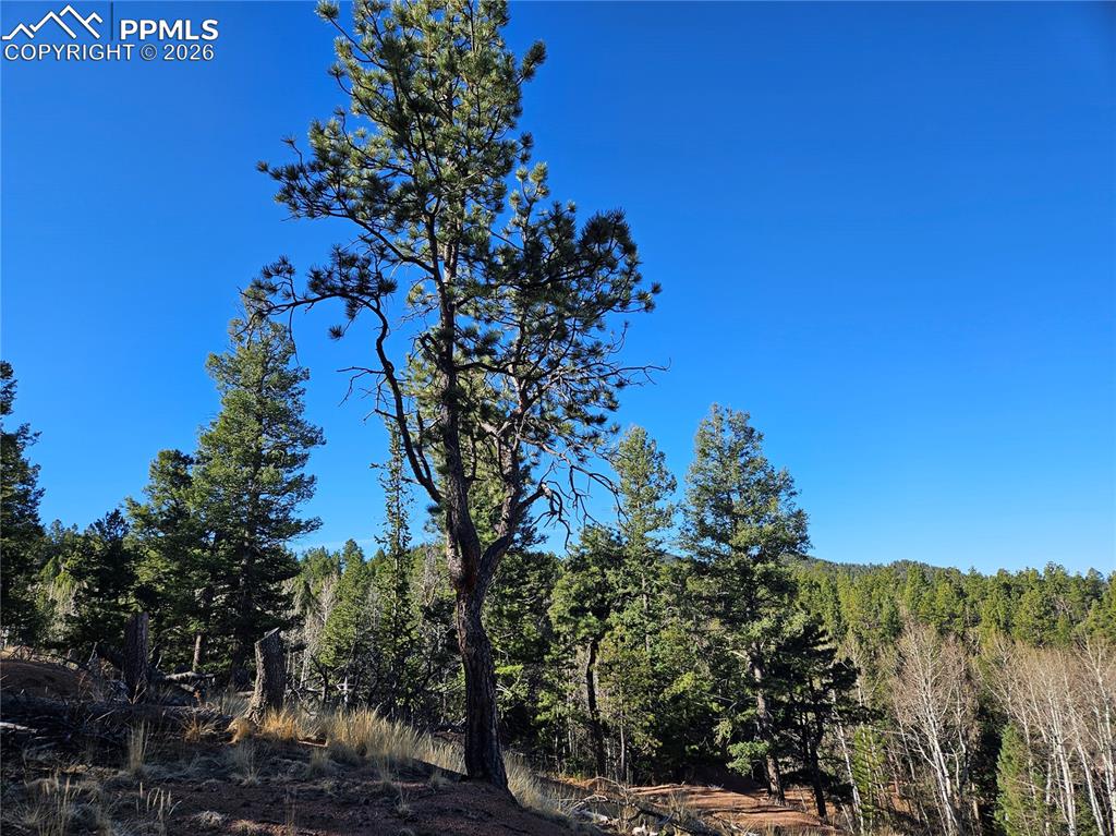 652 Derby Drive Cripple Creek CO 80813