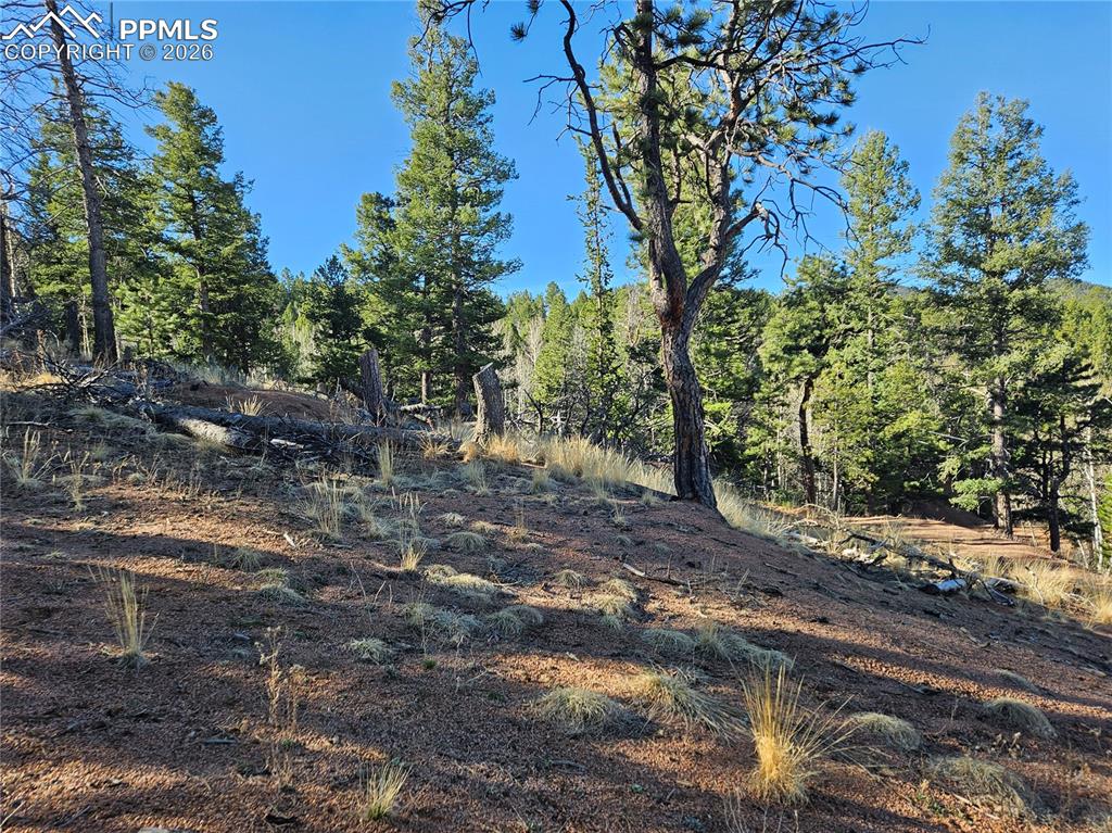 652 Derby Drive Cripple Creek CO 80813