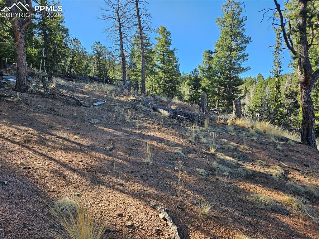 652 Derby Drive Cripple Creek CO 80813