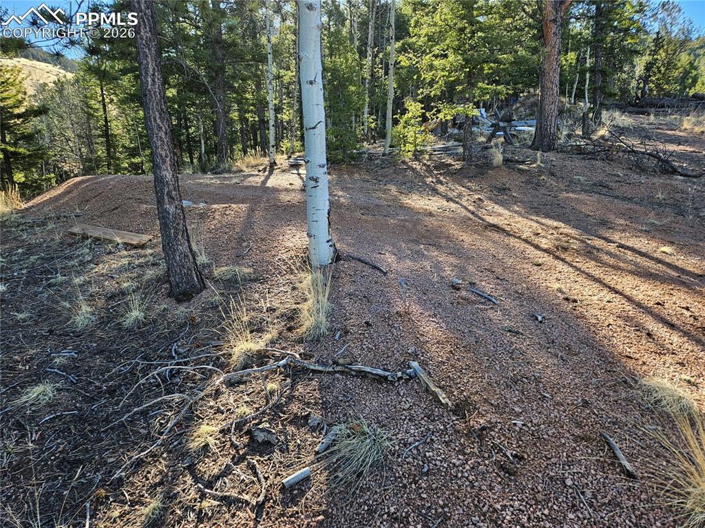 652 Derby Drive Cripple Creek CO 80813