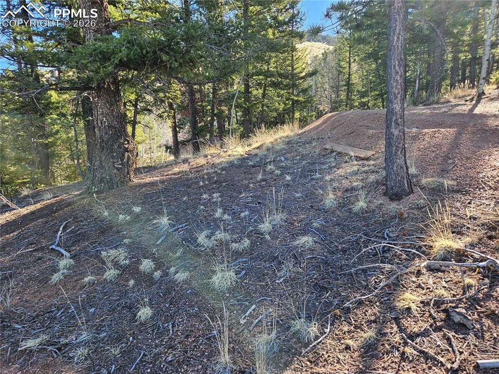 652 Derby Drive Cripple Creek CO 80813
