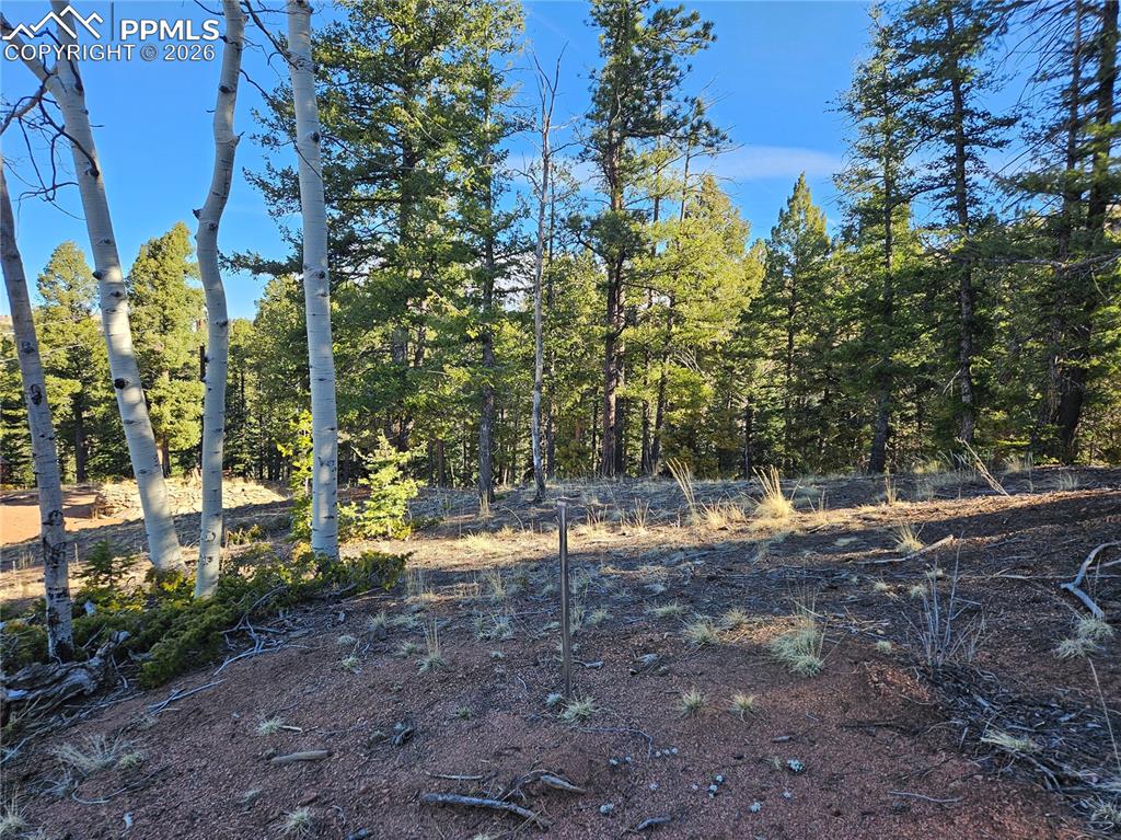 652 Derby Drive Cripple Creek CO 80813