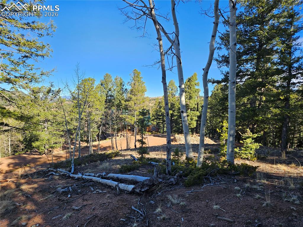 652 Derby Drive Cripple Creek CO 80813