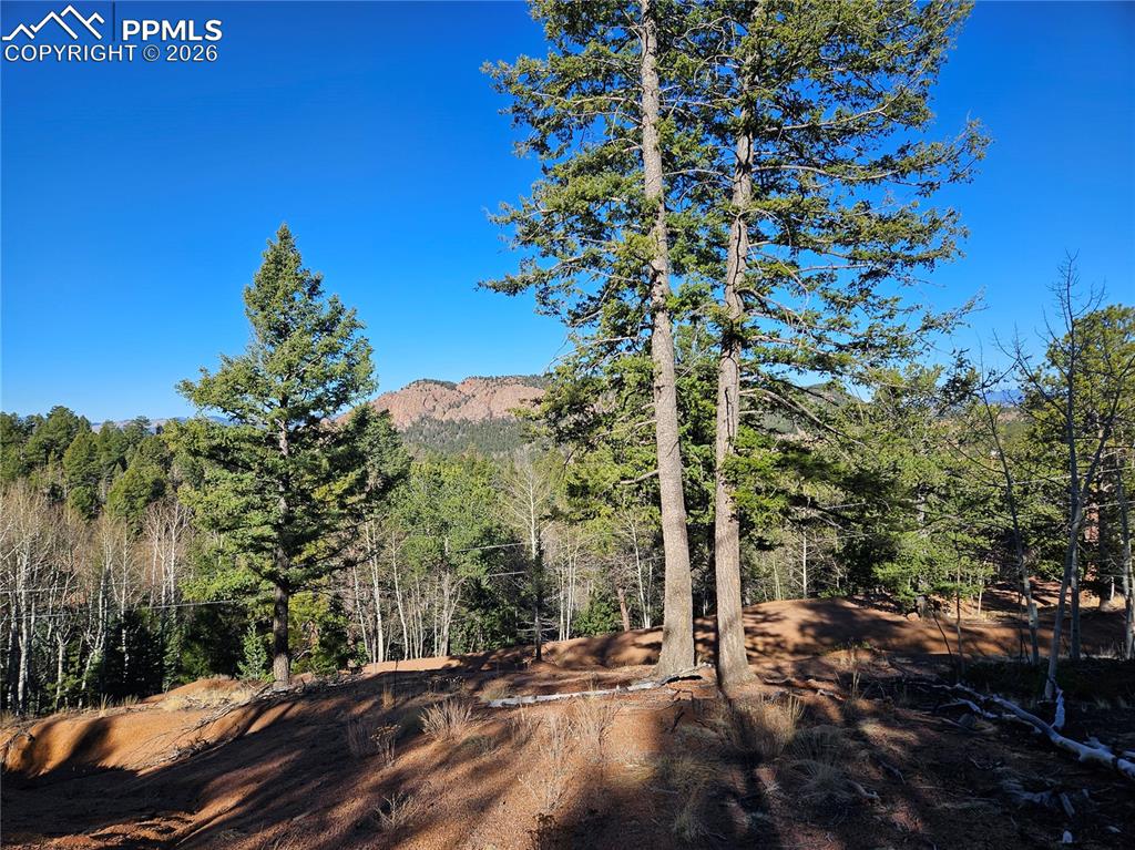 652 Derby Drive Cripple Creek CO 80813