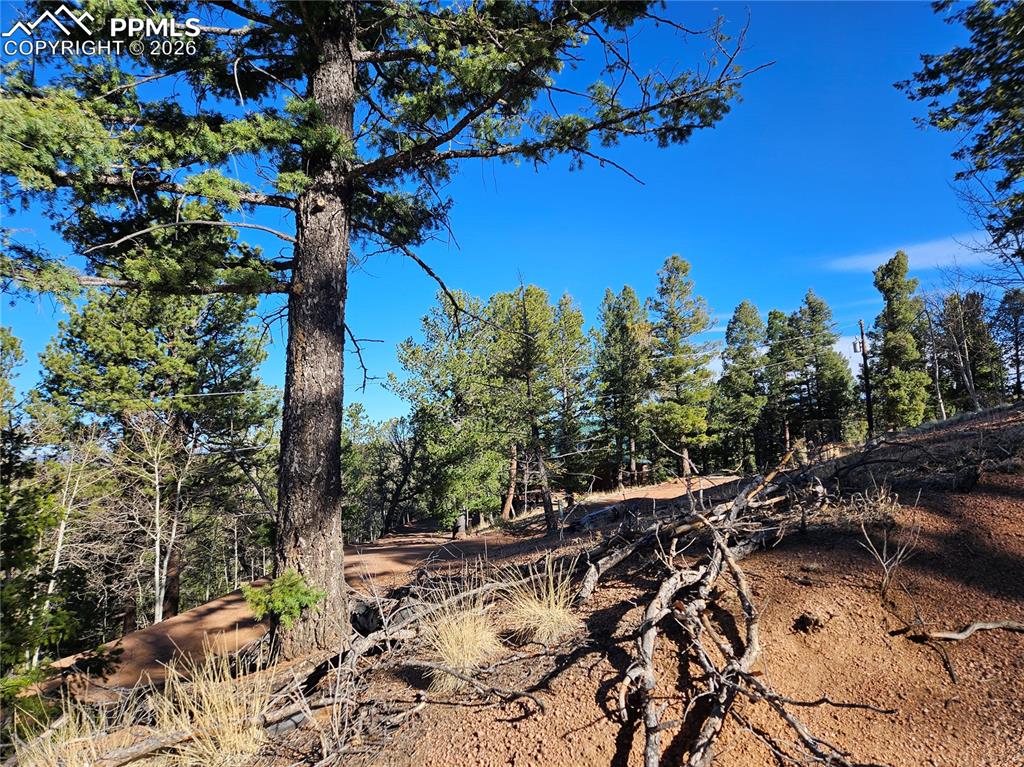 652 Derby Drive Cripple Creek CO 80813