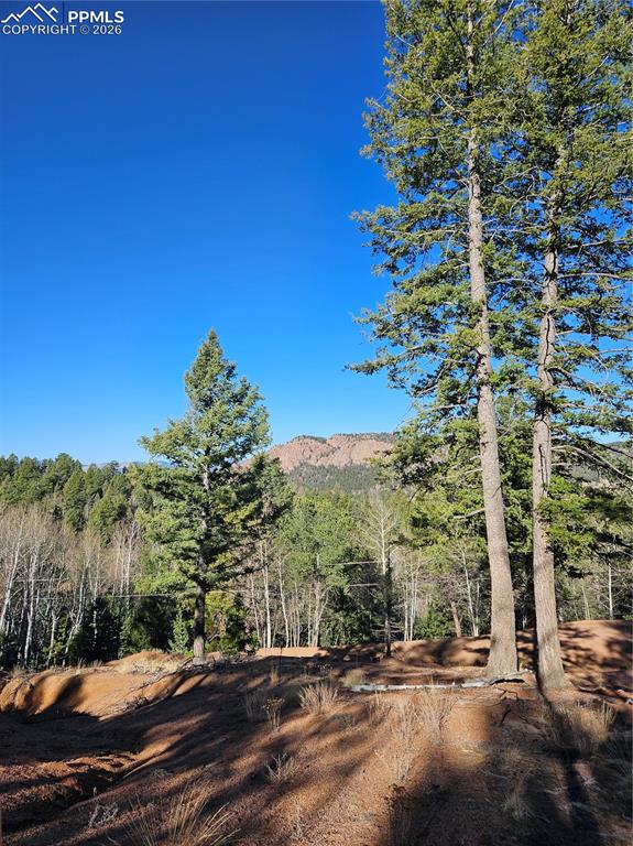 652 Derby Drive Cripple Creek CO 80813