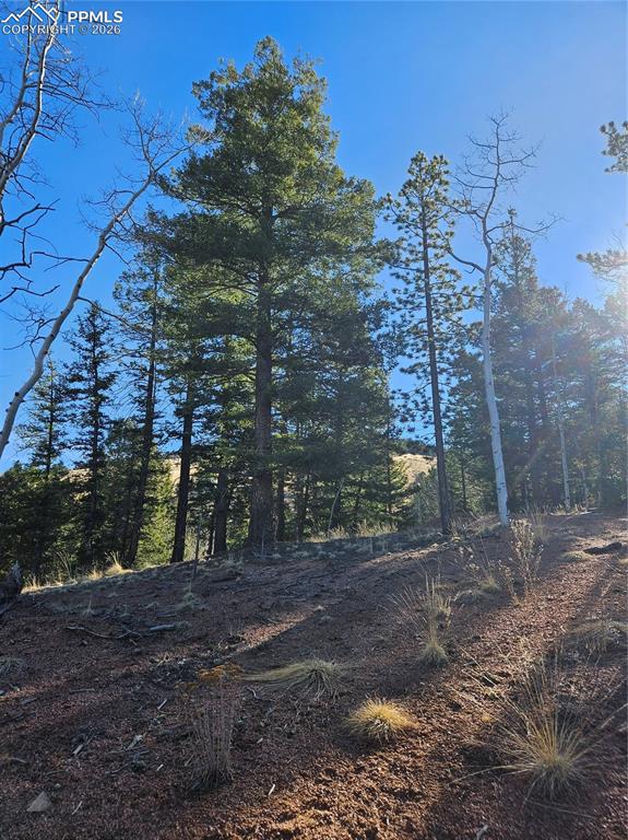 652 Derby Drive Cripple Creek CO 80813