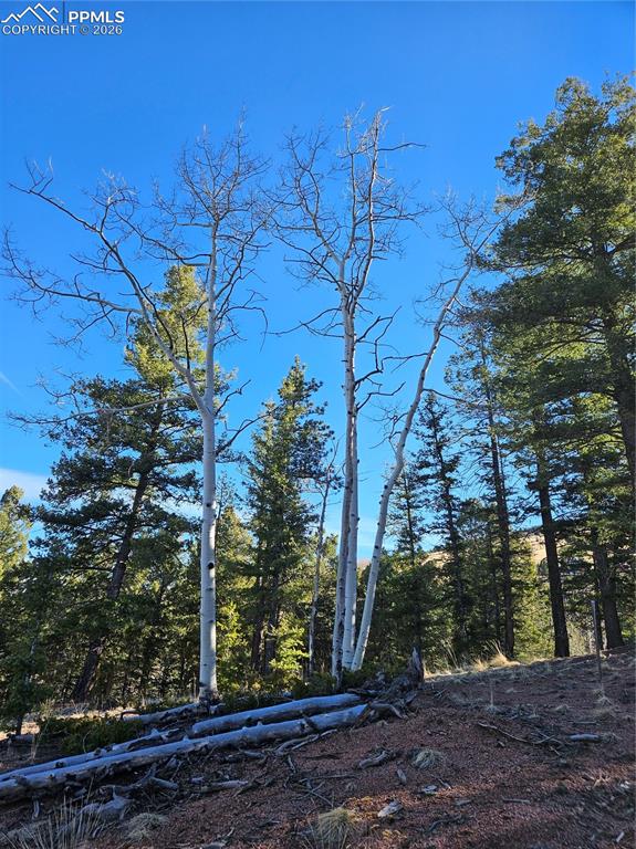 652 Derby Drive Cripple Creek CO 80813